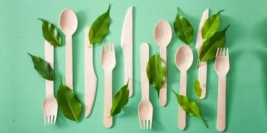 Choose Alternatives to Single-Use Plastic Cutlery